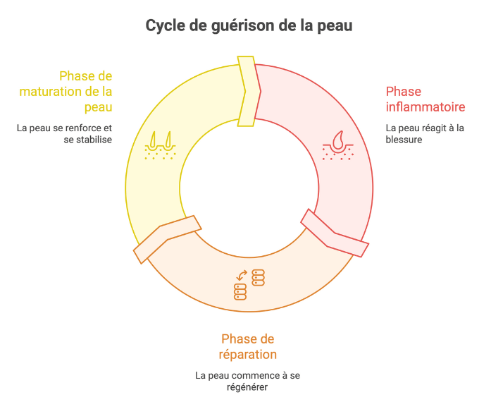 gu&eacute;rison cheval peau gale de boue